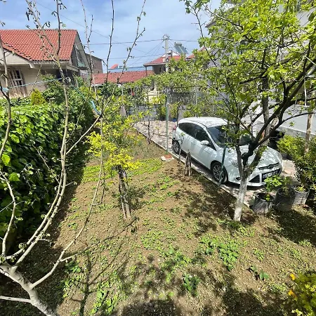 1 Pogradec